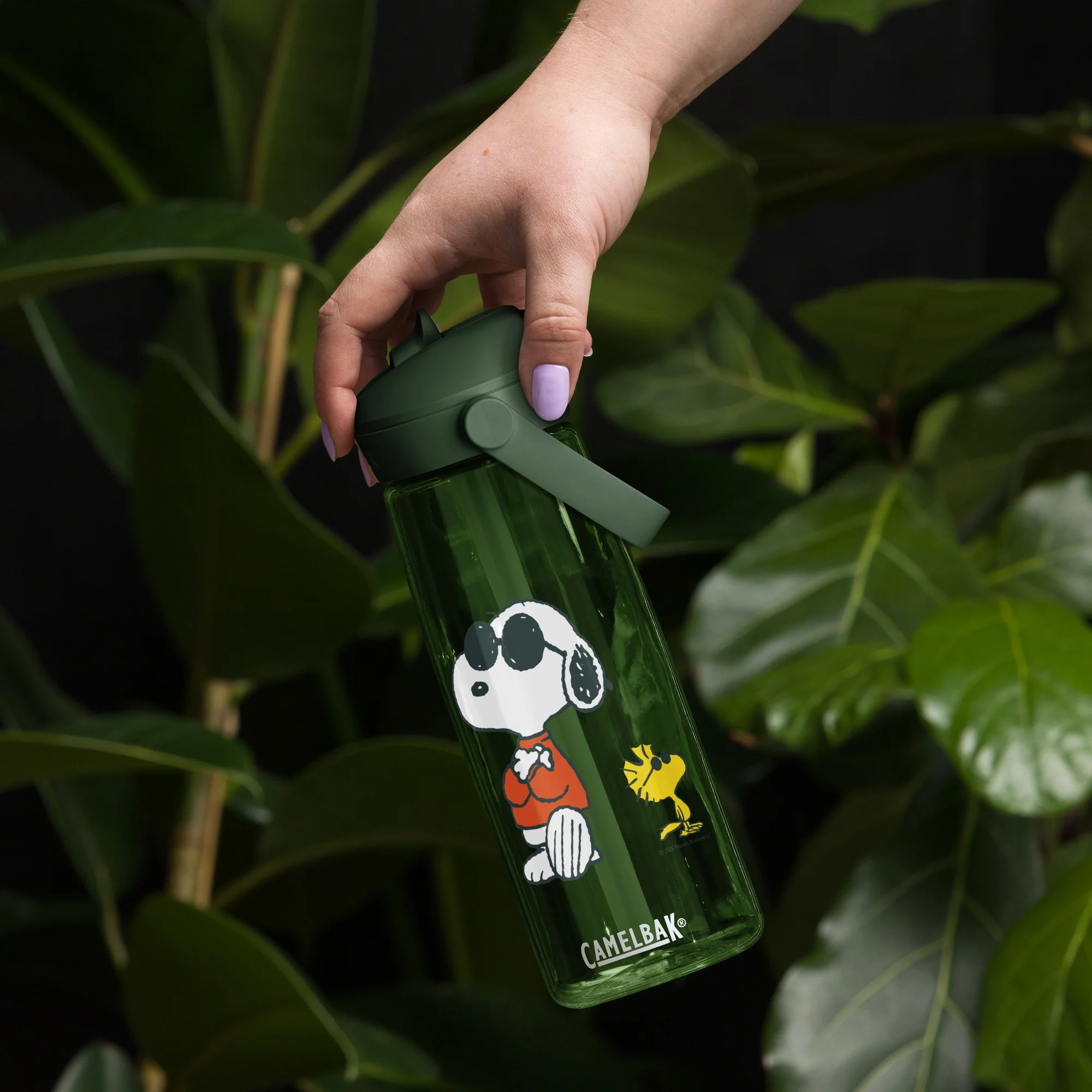 Peanuts Camelbak Water Bottle Joe Cool - Image 4